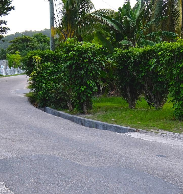 Roche Kerlan Apartments Grand Anse  Ngoại thất bức ảnh